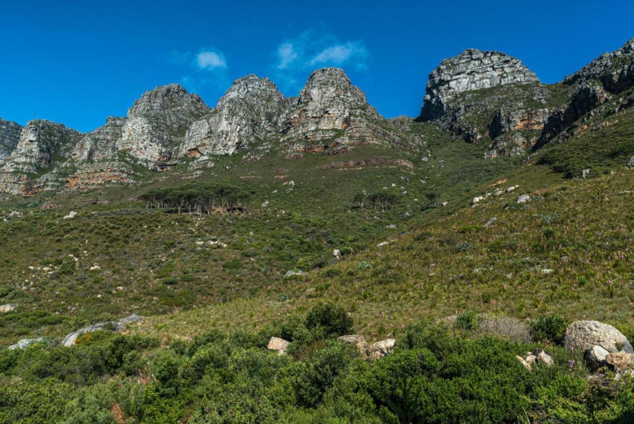 Auberge Cape Guesthouse Cape Town Luaran gambar